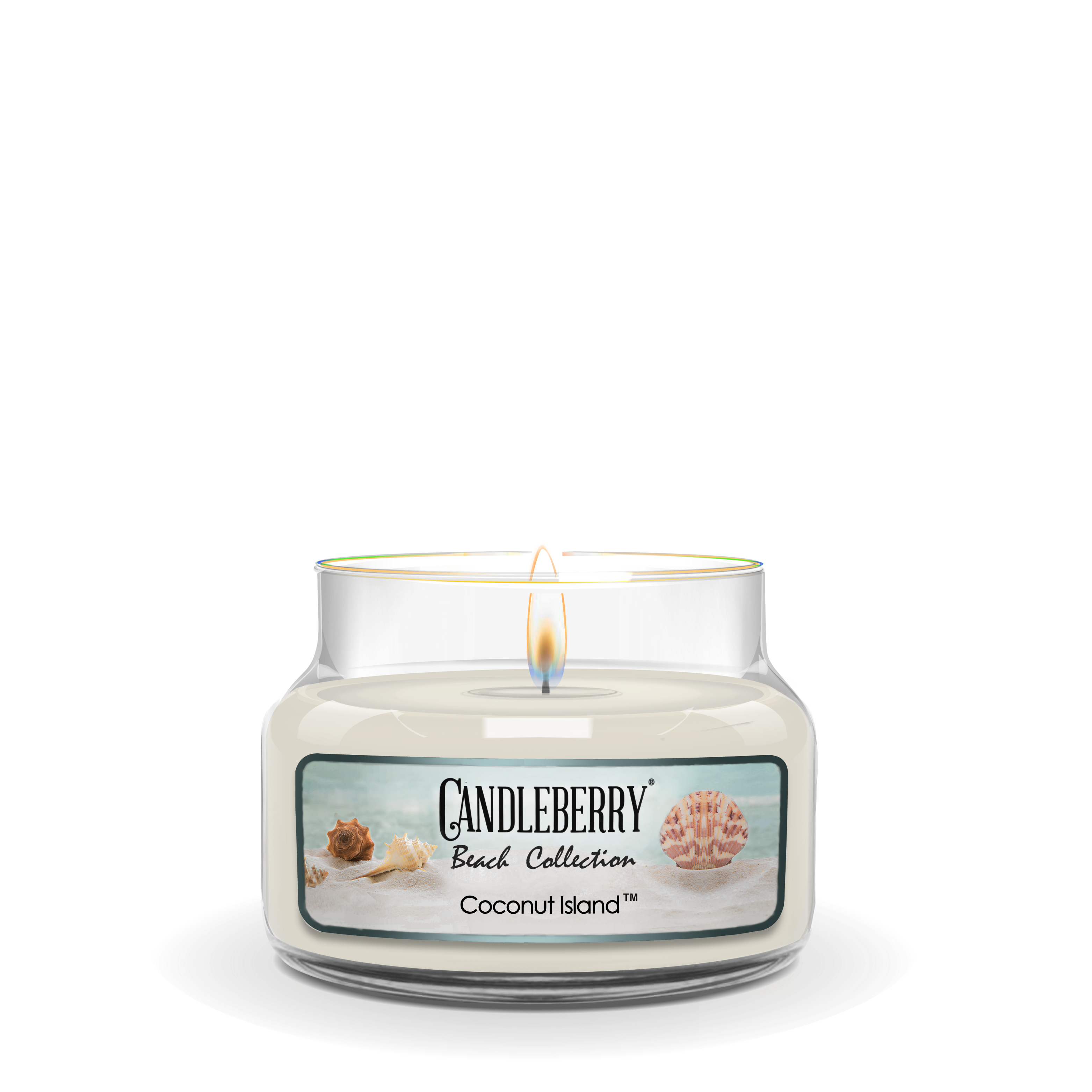 Beach Collection - Coconut Island™, Small Jar Candle (Collective) by The Candleberry® Candle Company, scented candle detail photo 2