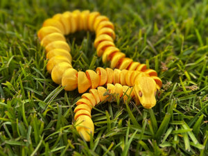 Color Shift Snake 3D Printed Fidget Toy | Large Reptile Sensory Toy by Mushroom Lady Co, paper gift detail photo 17