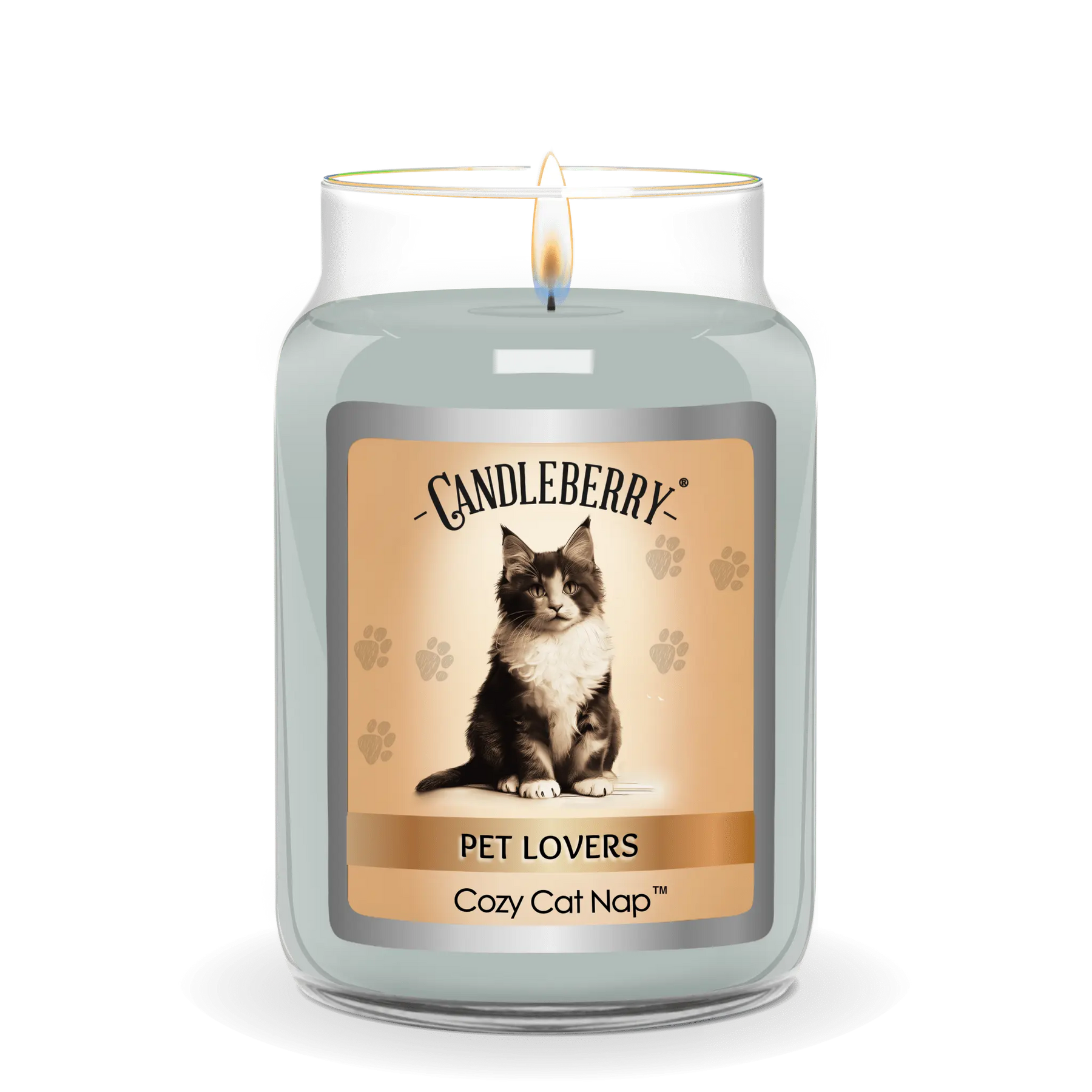 Cozy Cat Nap™ - Large Jar Candle (Collective) by The Candleberry® Candle Company, scented candle detail photo 2