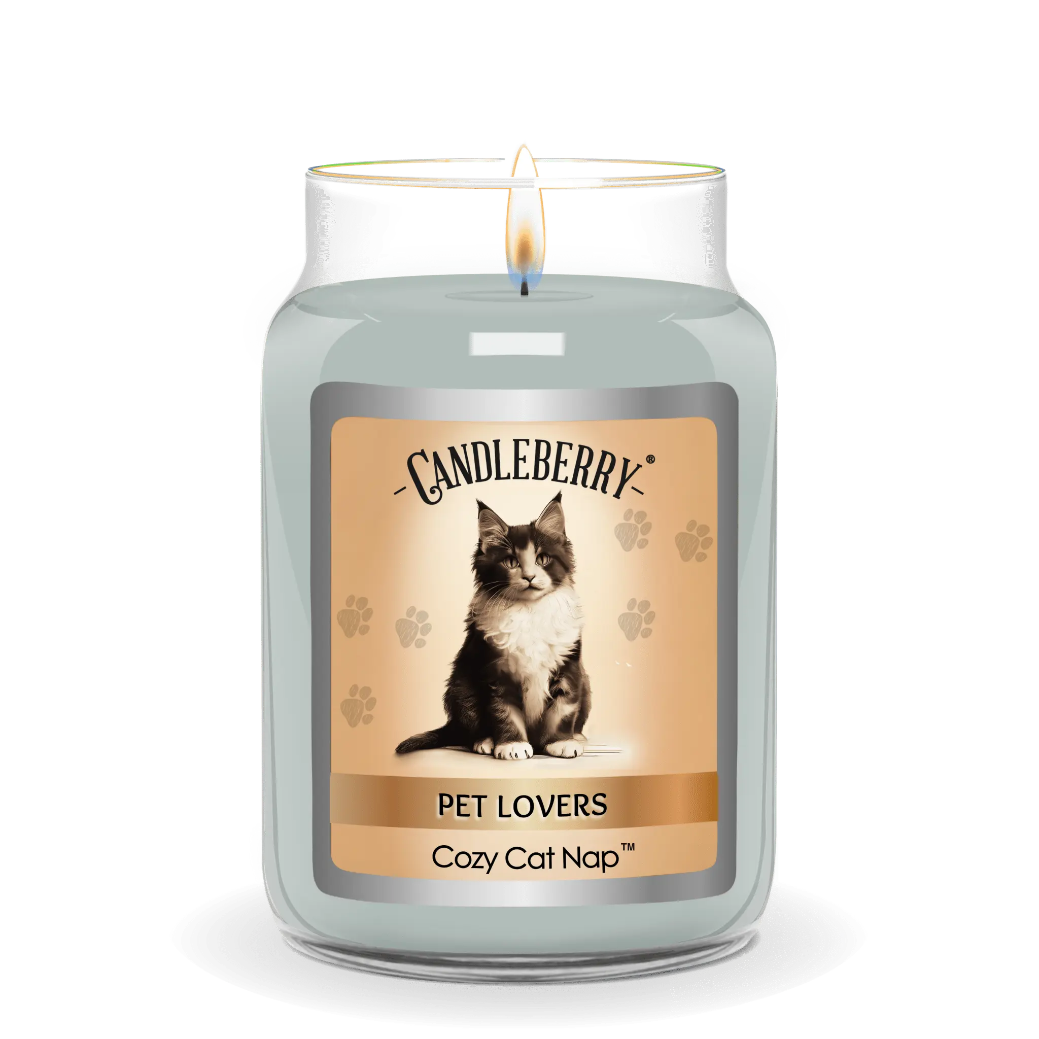 Cozy Cat Nap™ - Large Jar Candle (Collective) by The Candleberry® Candle Company, scented candle detail photo 2