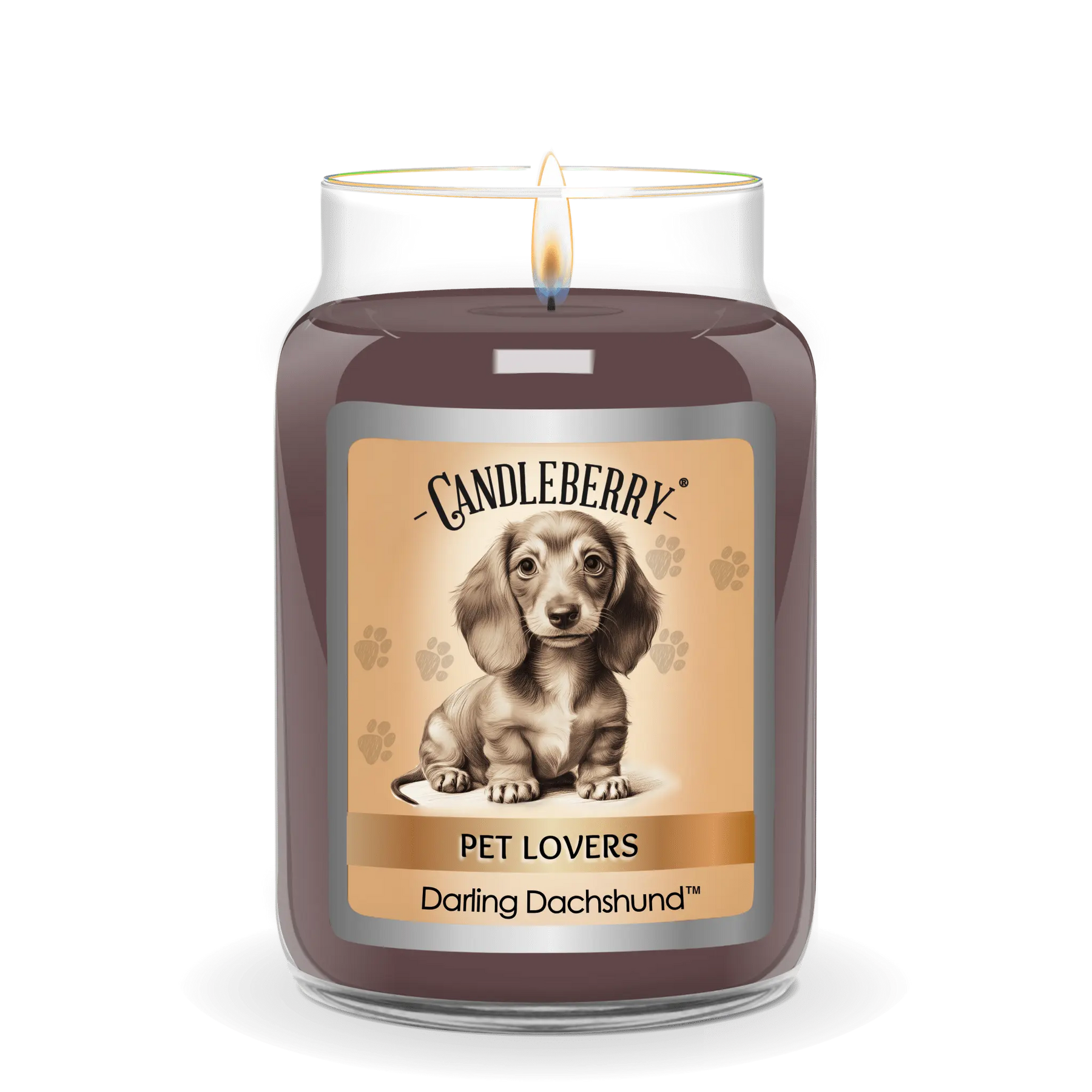 Darling Dachshund™ - Large Jar Candle (Collective) by The Candleberry® Candle Company, scented candle detail photo 2