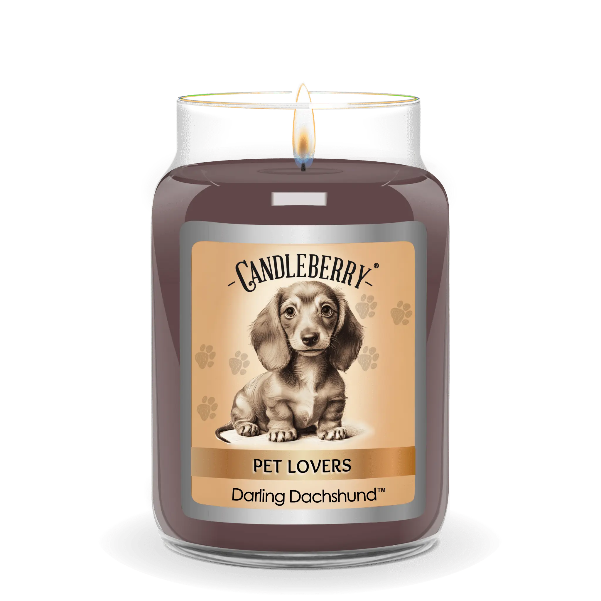 Darling Dachshund™ - Large Jar Candle (Collective) by The Candleberry® Candle Company, scented candle detail photo 2