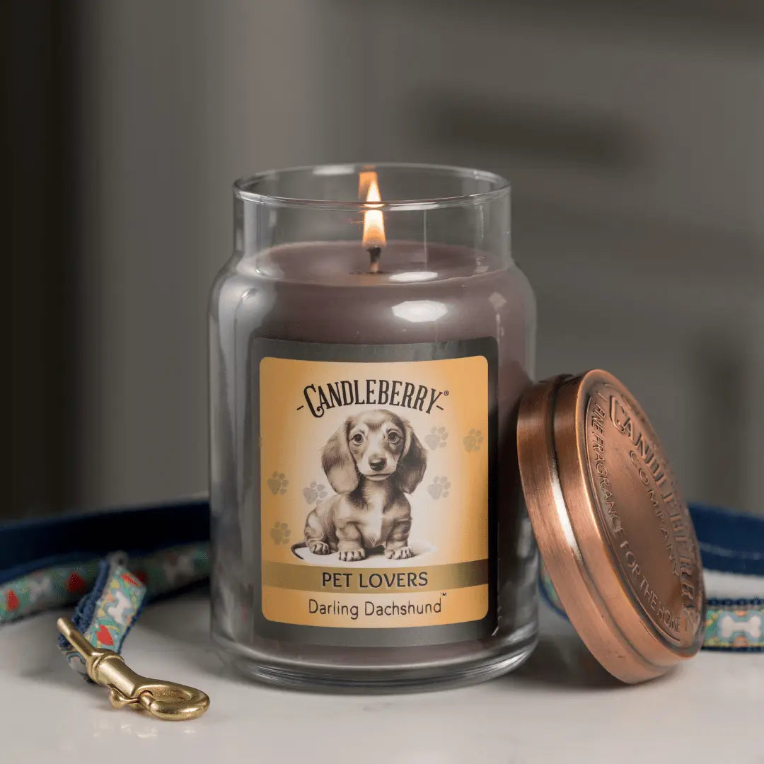Darling Dachshund™ - Large Jar Candle (Collective) by The Candleberry® Candle Company, scented candle detail photo 4