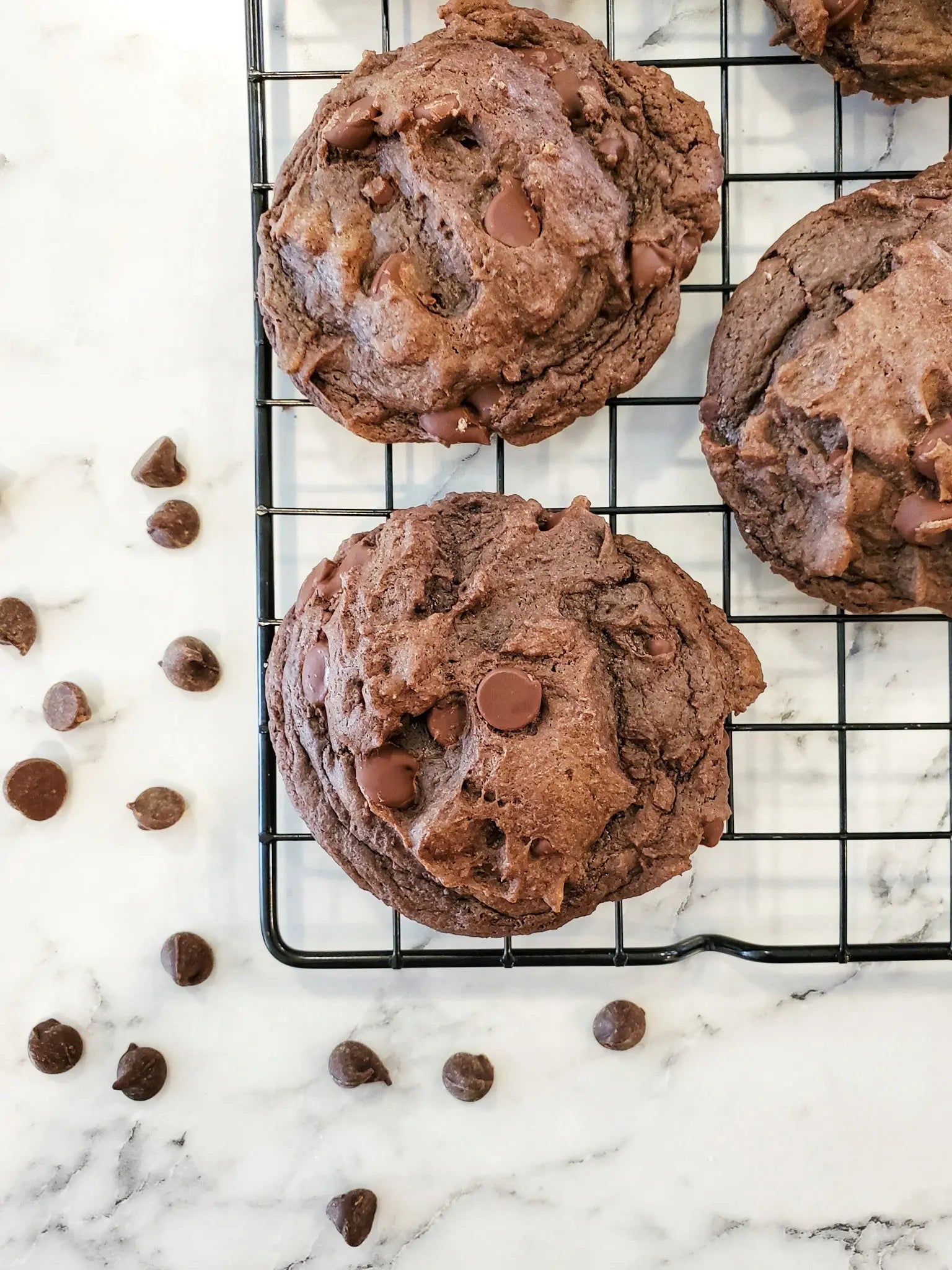 Death by Chocolate Cookie Dozen Let's Get Baked Artisan Desserts