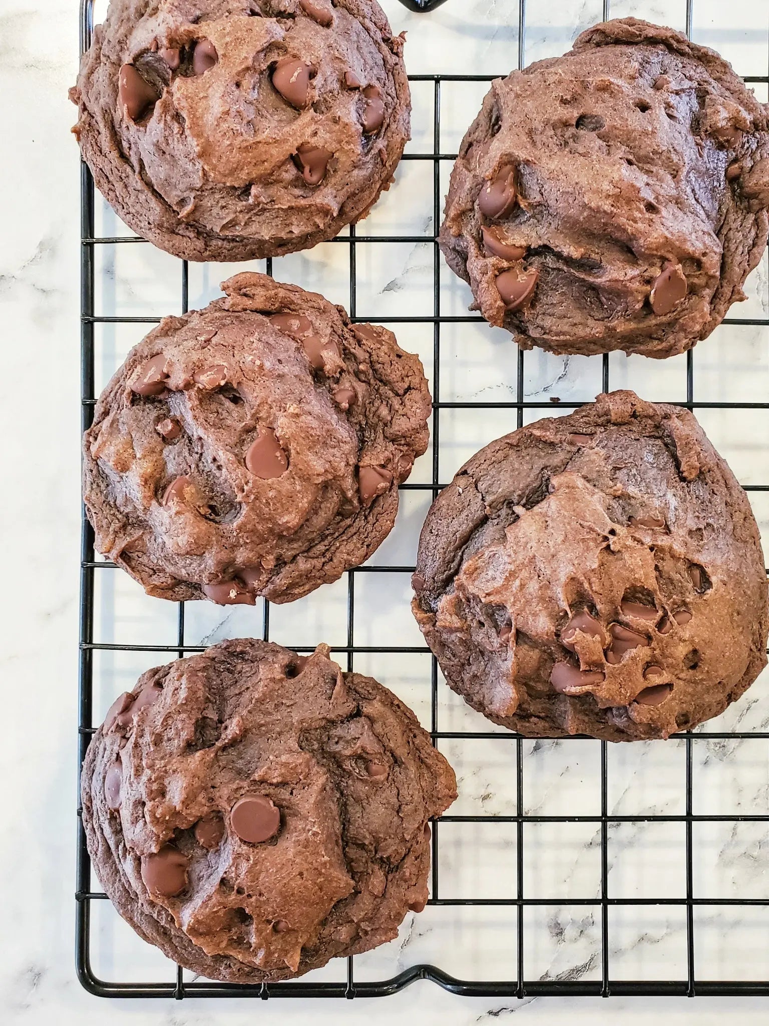 Death by Chocolate Cookie Dozen Let's Get Baked Artisan Desserts