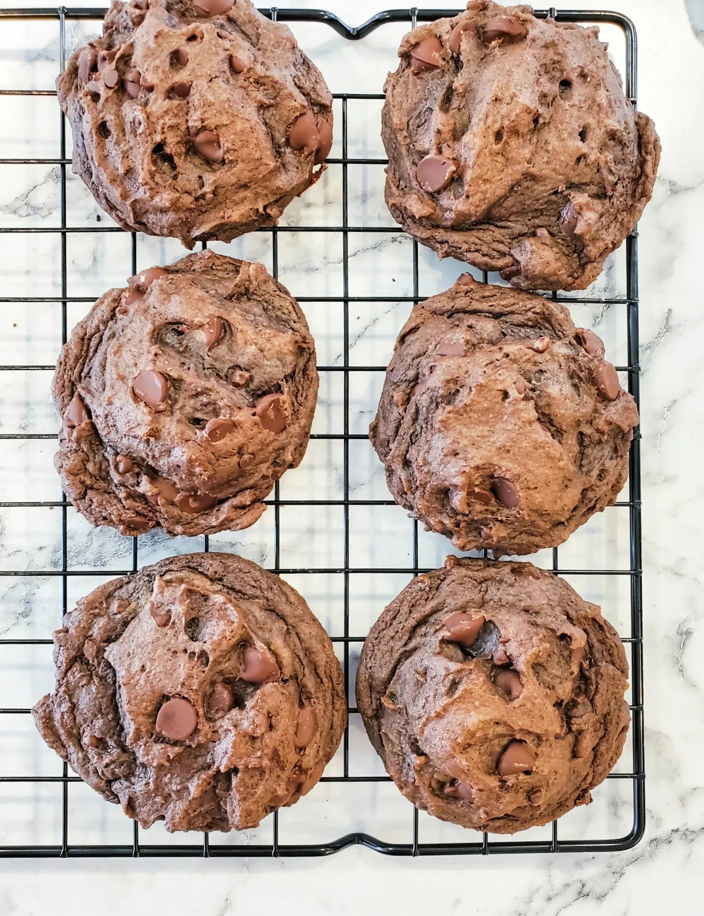 Death by Chocolate Cookie Dozen Let's Get Baked Artisan Desserts