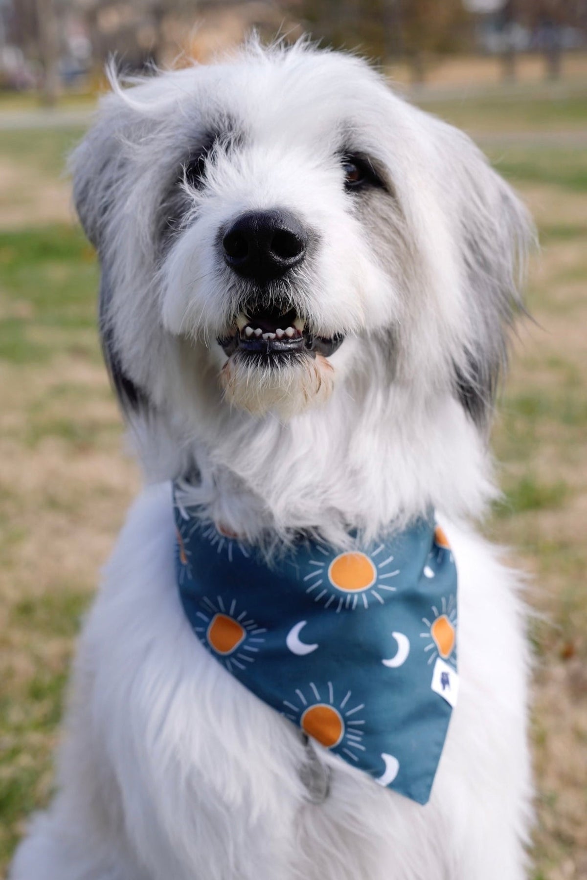 Blue Moon & Lightning Reversible Dog Bandana