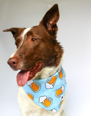 Cheers and Beers Reversible Dog Bandana