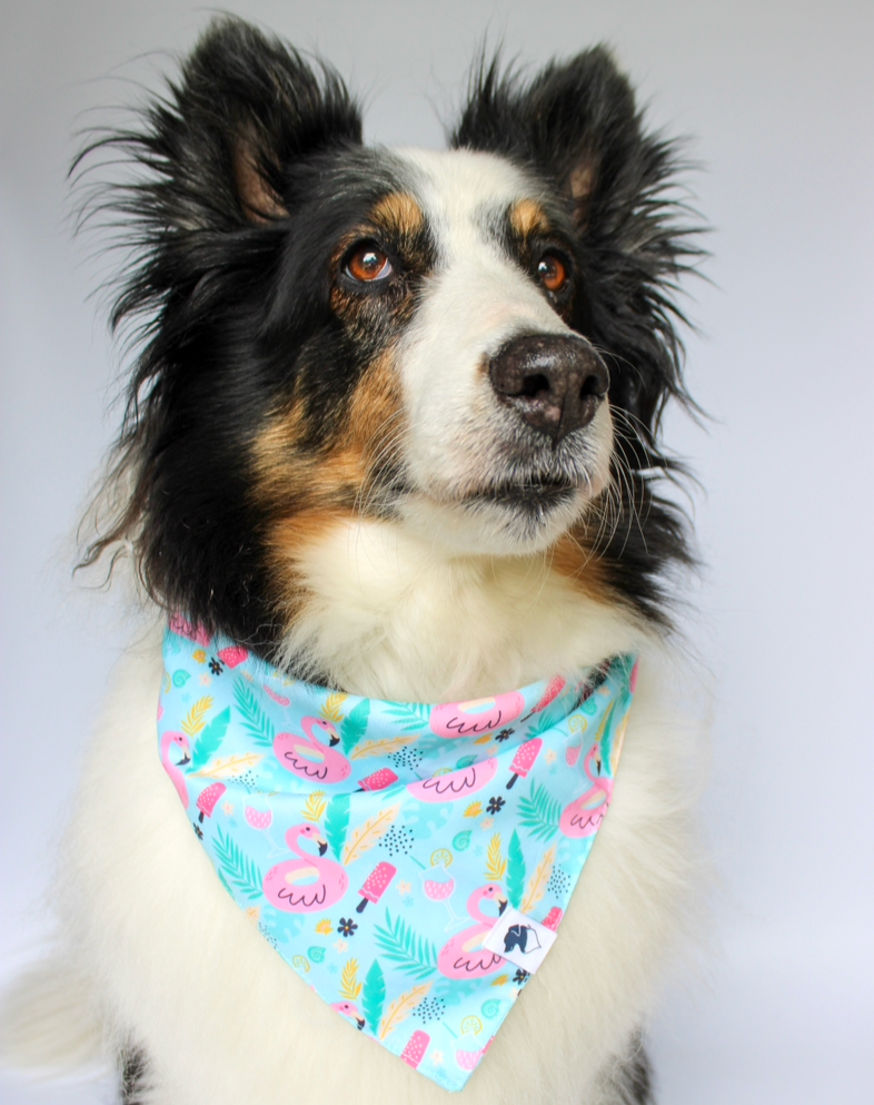 Summer Beach Reversible Dog Bandana