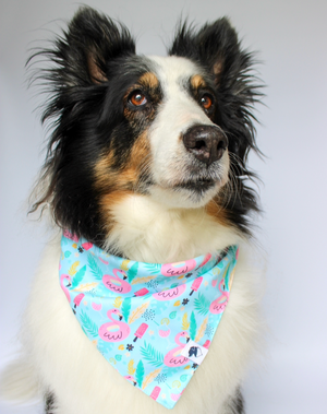 Summer Beach Reversible Dog Bandana