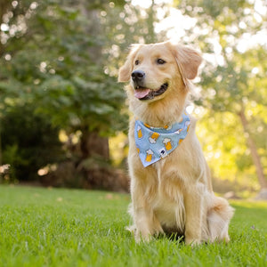 Cheers and Beers Reversible Dog Bandana