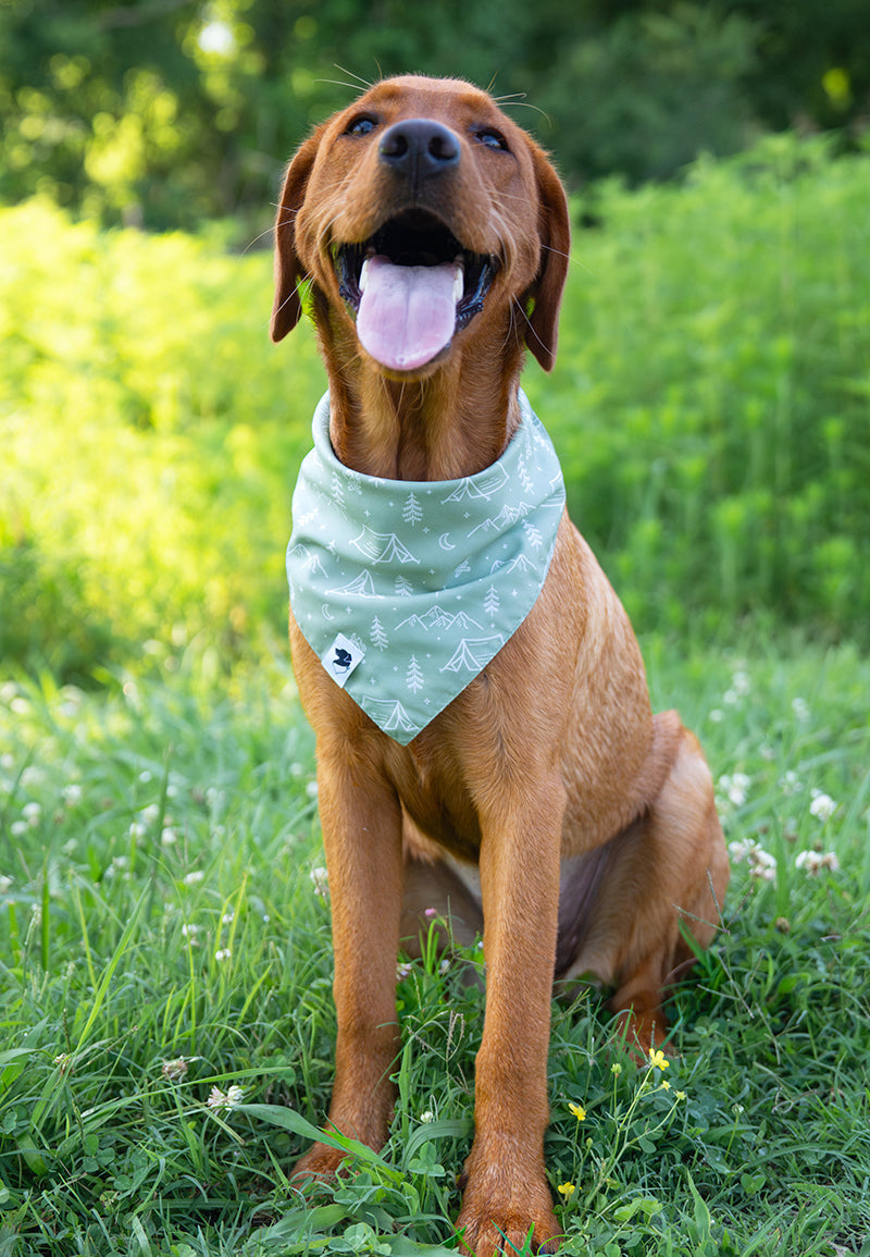 Camping & Smores Reversible Dog Bandana