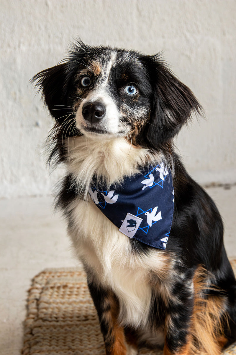 Hanukkah Reversible Dog Bandana by Dog Bandana Co., product view 5