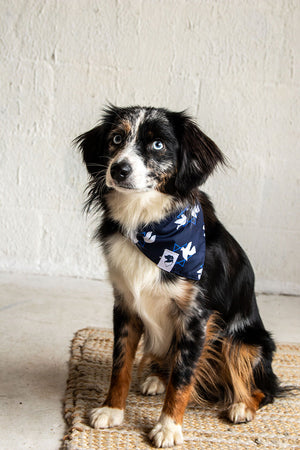 Hanukkah Reversible Dog Bandana by Dog Bandana Co., product view 3
