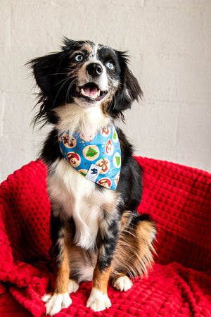 Holiday Cookie Christmas Reversible Dog Bandana by Dog Bandana Co., product view 4