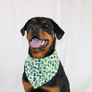 House Plant Reversible Dog Bandana