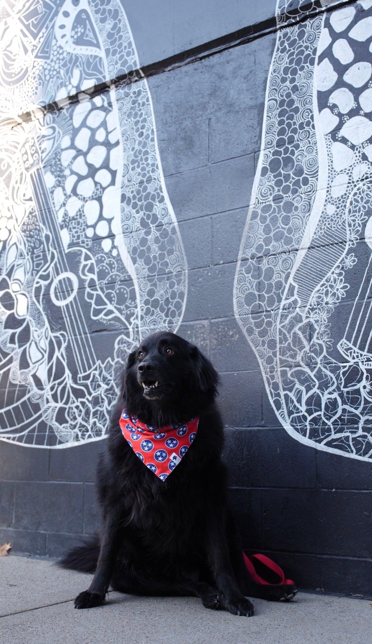 Nashville Tennessee Reversible Dog Bandana