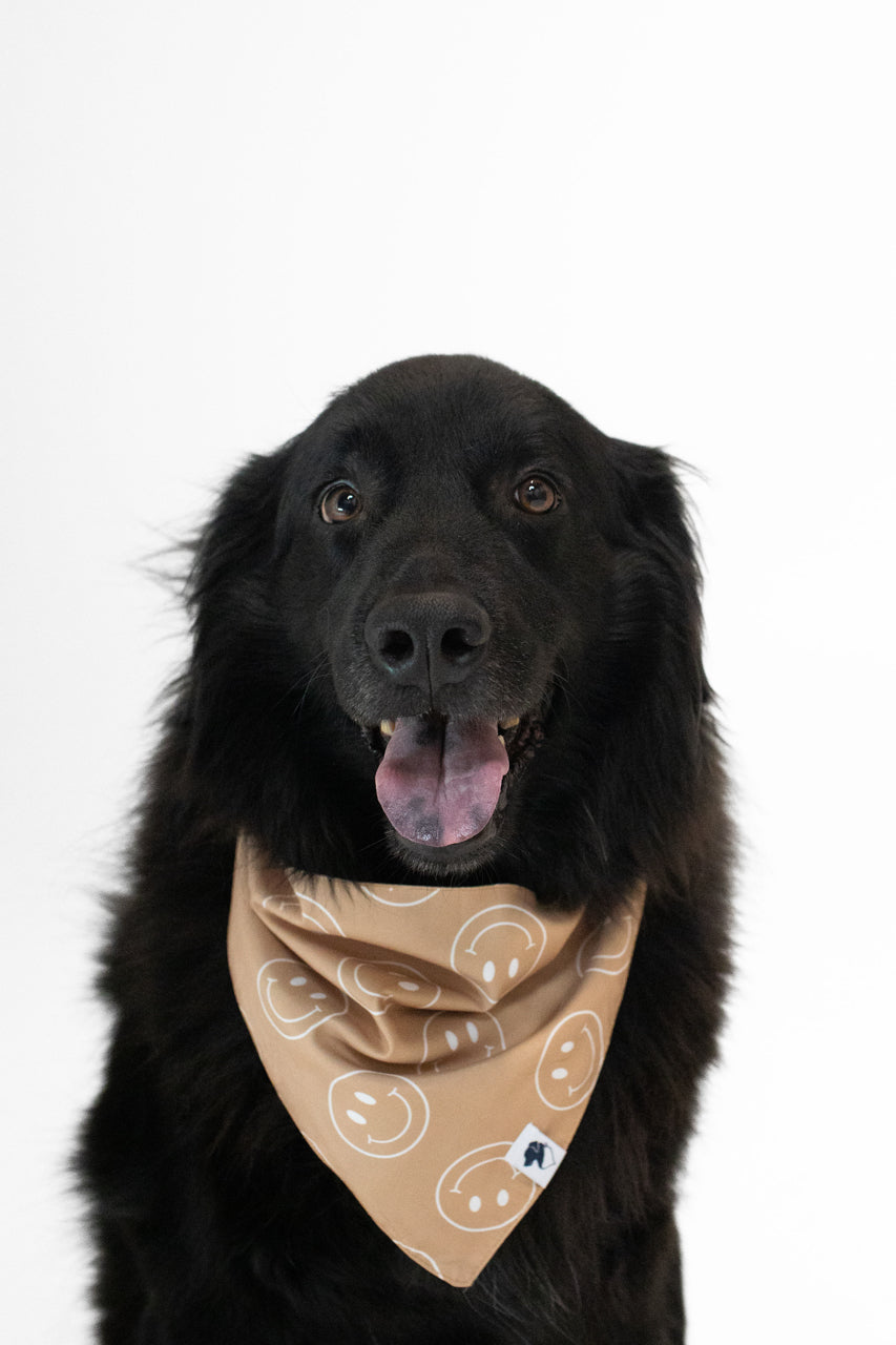 Smiles Dog Reversible Bandana