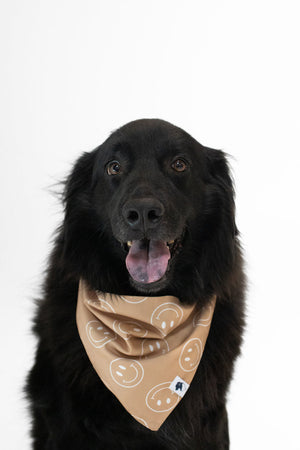 Smiles Dog Reversible Bandana