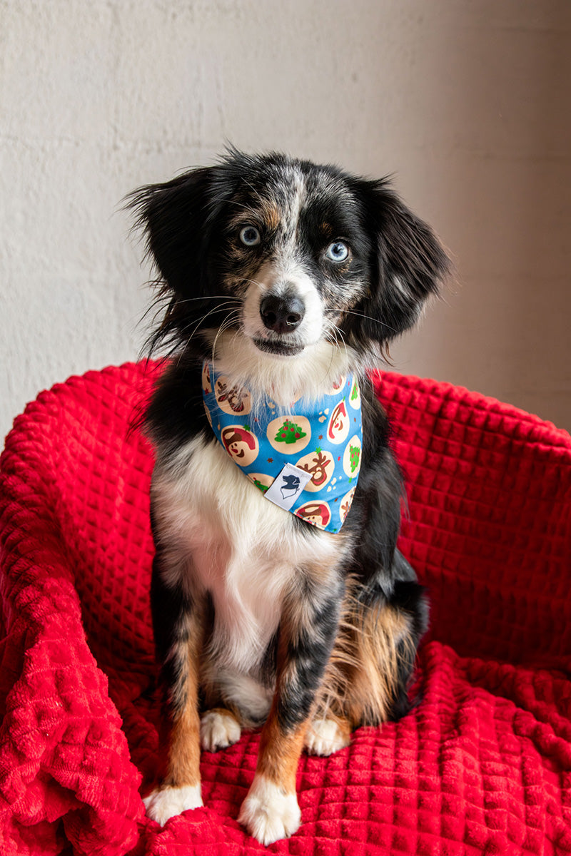 Holiday Cookie Christmas Reversible Dog Bandana by Dog Bandana Co., product view 3
