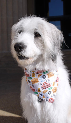 Nashville Tennessee Reversible Dog Bandana