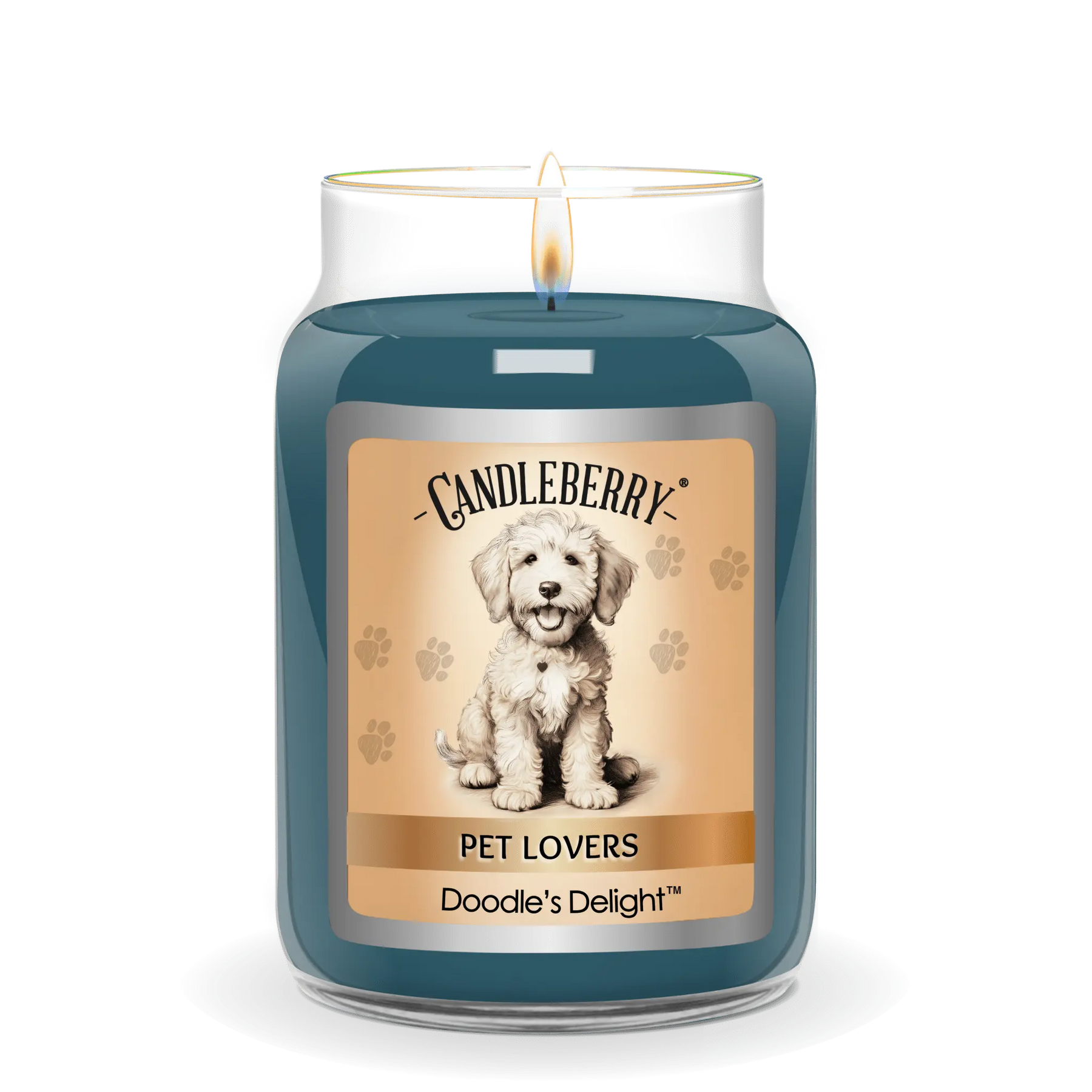 Doodle's Delight™ - Large Jar Candle (Collective) The Candleberry® Candle Company