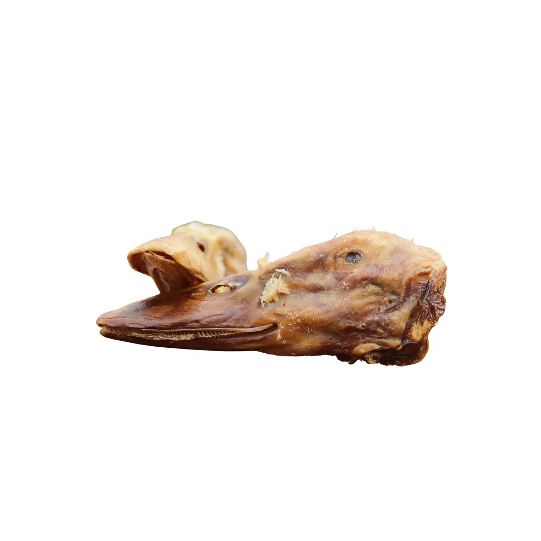 Duck Head natural dog chew by Gaines Family Farmstead