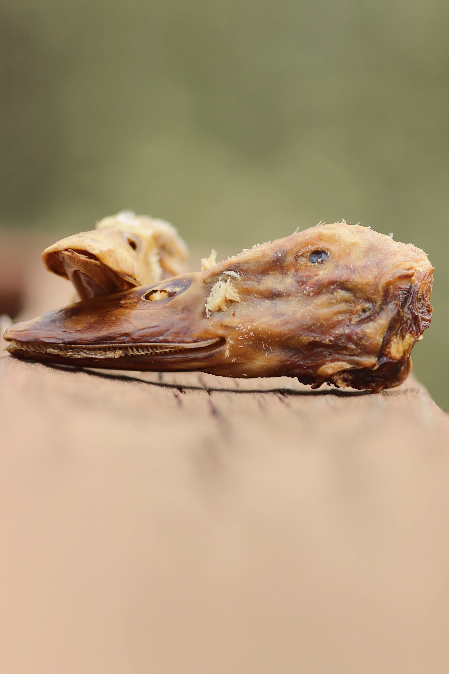 Duck Head crunchy dog chew