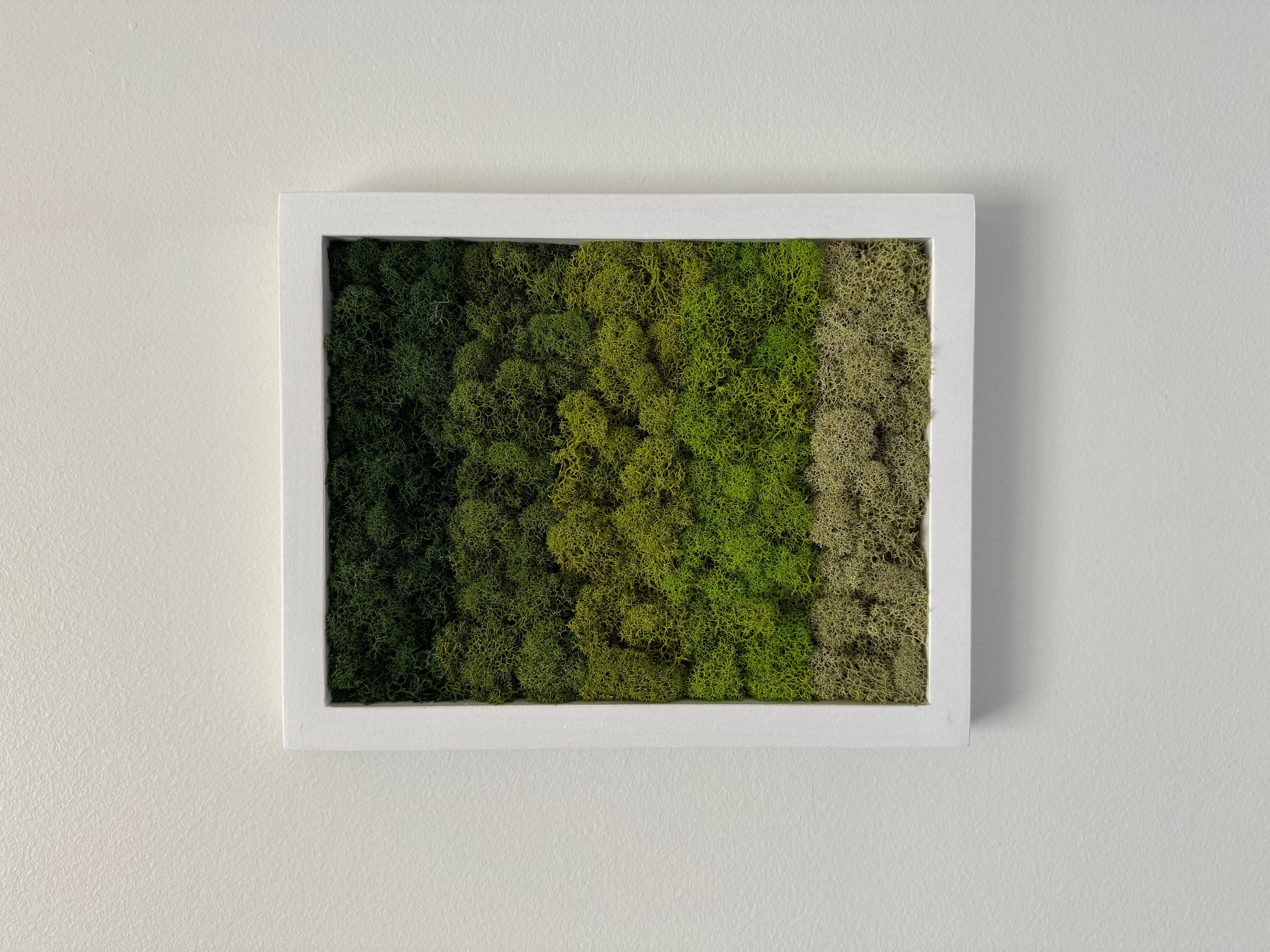 Horizontal Gradient, Rectangle