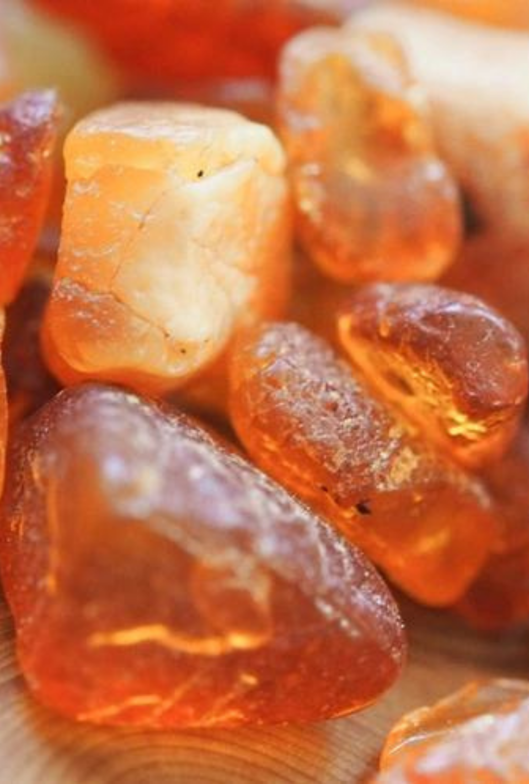 Egyptian Amber | Warm Amber · Soft Musk by Bode + Ev image 5