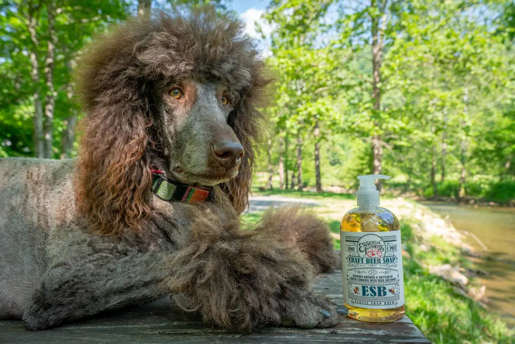 Brown poodle next to a bottle of ESB Craft Beer Soap on a wooden surface near trees and water.