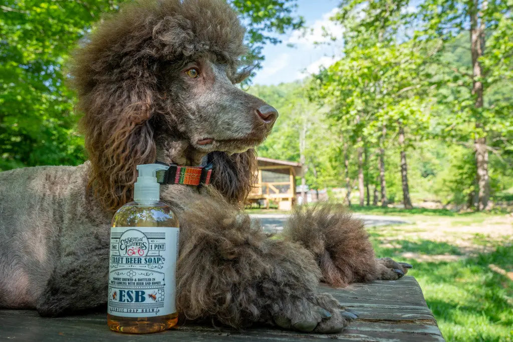 Esb Craft Beer Soap ~ 16 Oz. Liquid Soap by Essential Journeys, natural skincare detail photo 8