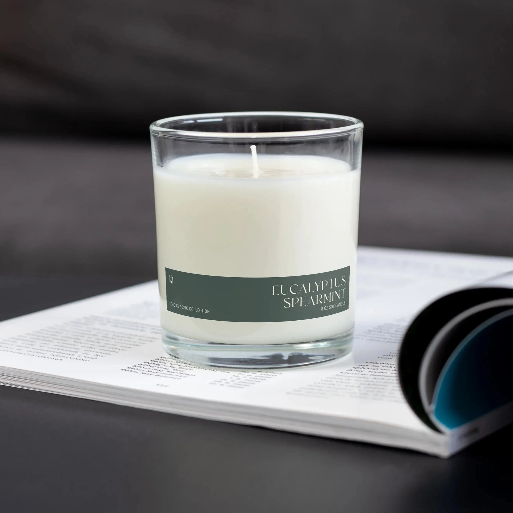 Eucalyptus Spearmint Soy Candle
