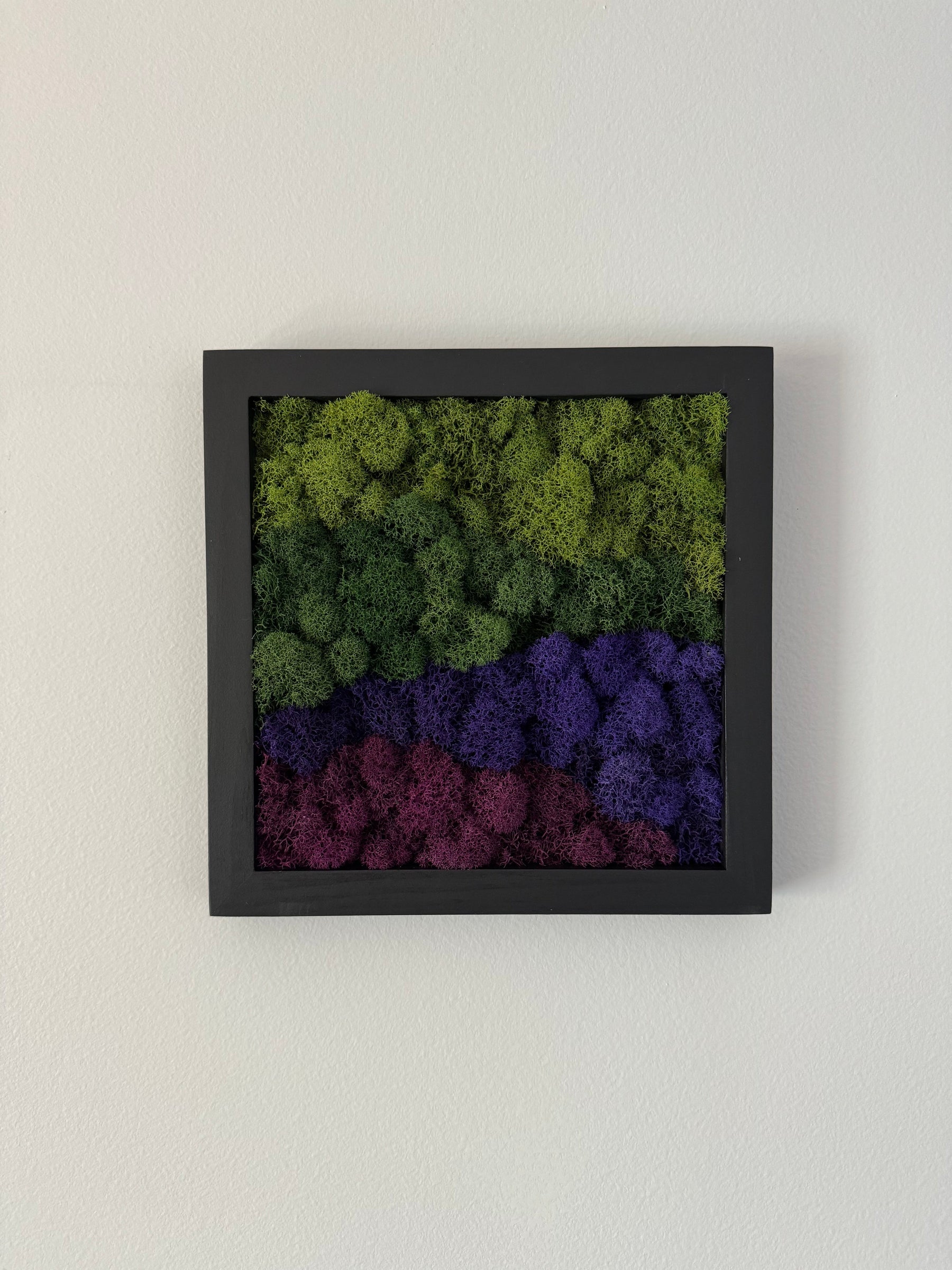 Purple Mountains, Square