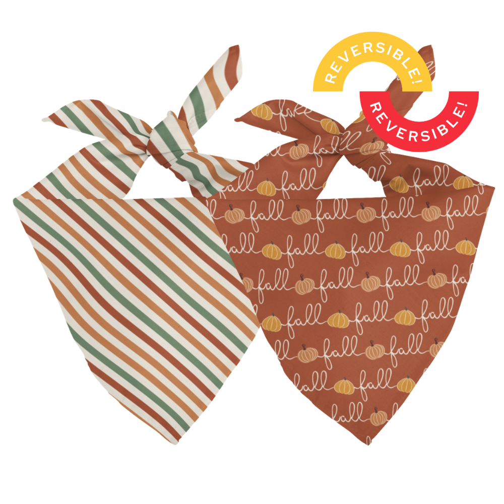Fall Stripes Reversible Dog Bandana by Dog Bandana Co., product view 2
