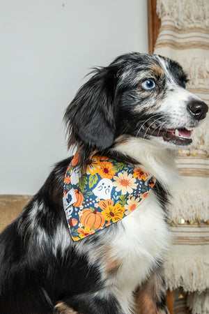 Fall Crochet Reversible Dog Bandana by Dog Bandana Co., product view 4