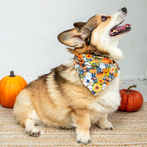 Fall Crochet Reversible Dog Bandana by Dog Bandana Co., product view 3