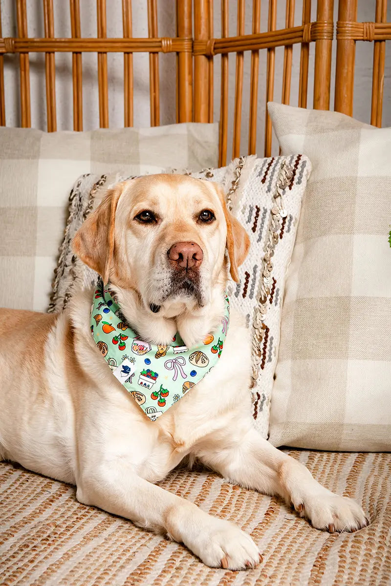 Dog Bandana Co