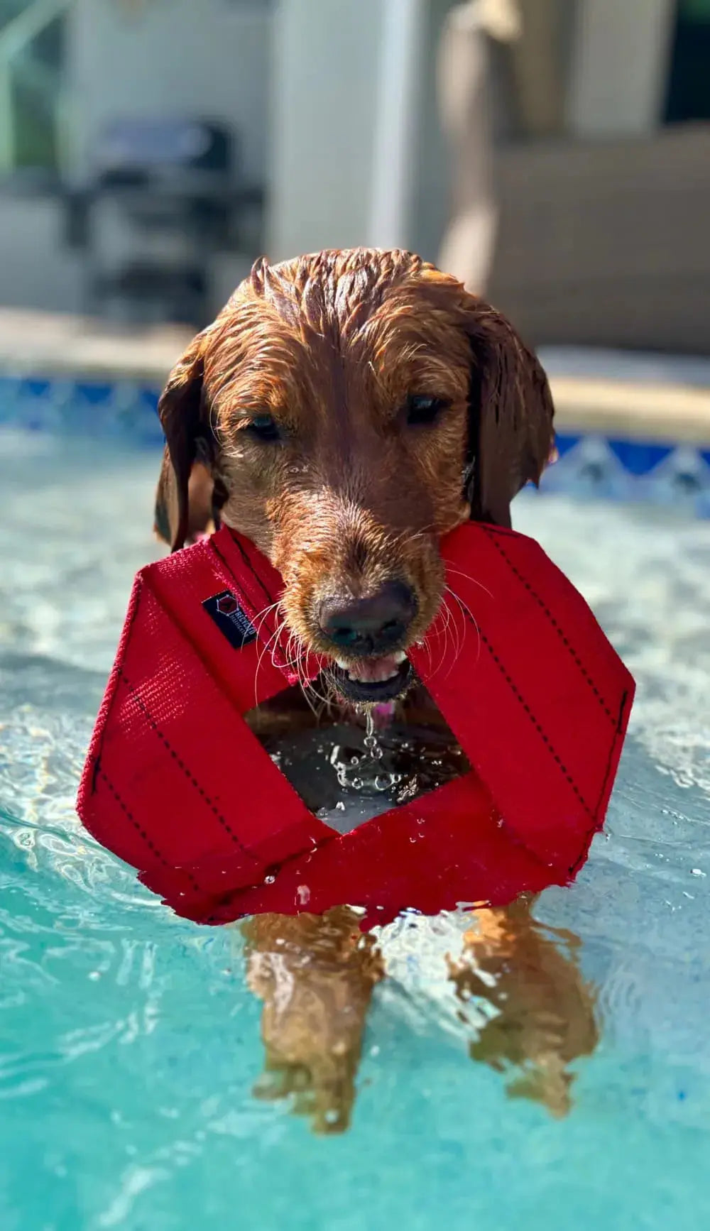 Fire Hose Dog Frisbee by Recycled Firefighter, pet accessory detail photo 11
