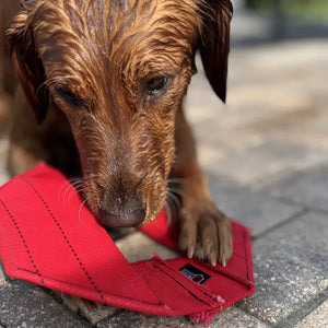 Fire Hose Dog Frisbee by Recycled Firefighter, pet accessory detail photo 9