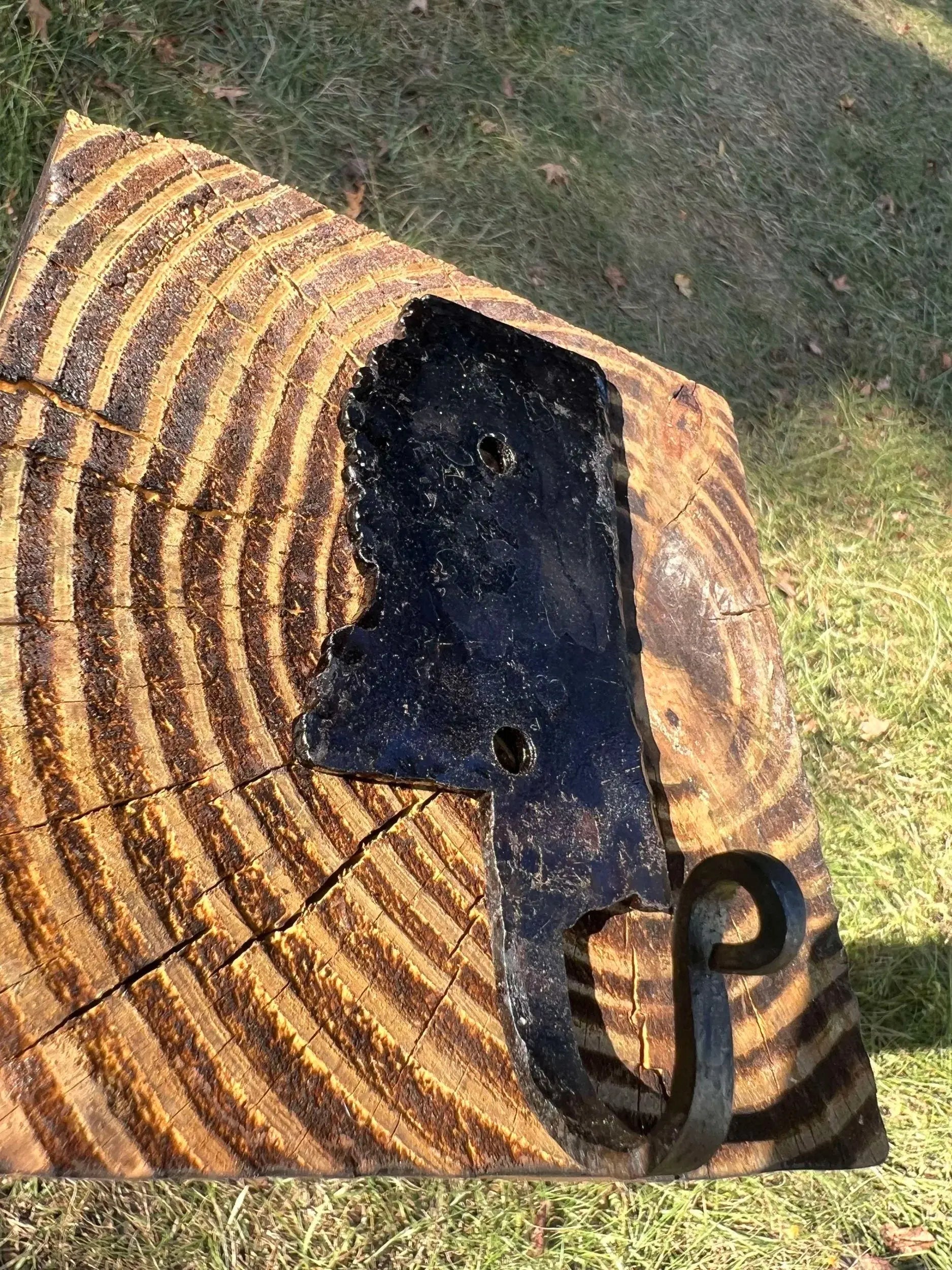 Forged State Hook by Redbeard's Forge LLC, Southern home decor main product photo