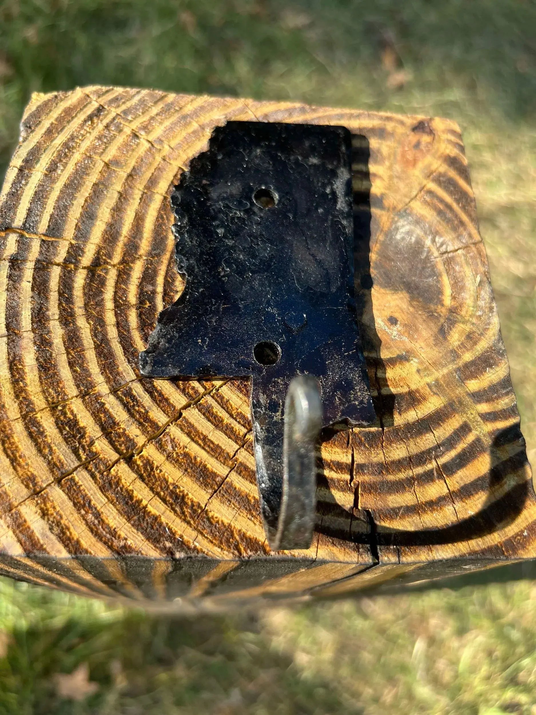 Forged State Hook by Redbeard's Forge LLC, Southern home decor detail photo 2