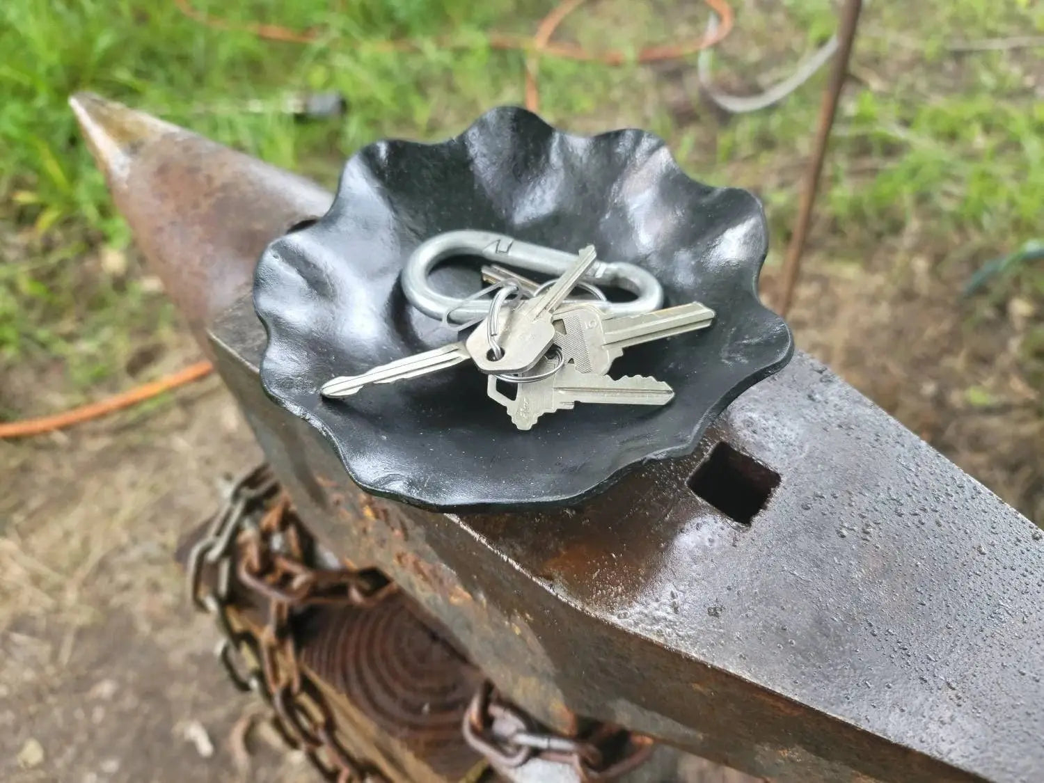 Forged Wavy Dish by Redbeard's Forge LLC, Southern home decor main product photo