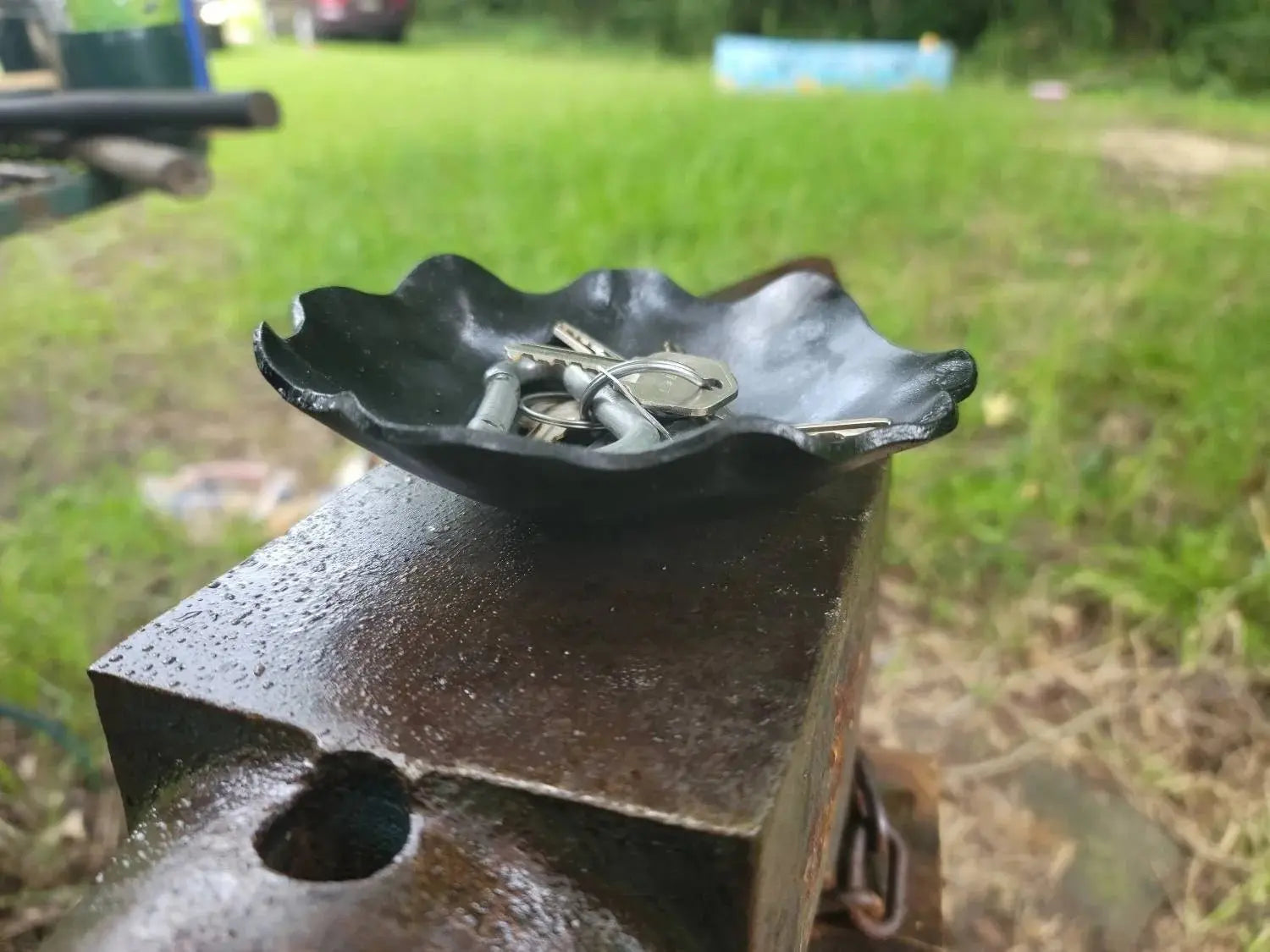 Forged Wavy Dish by Redbeard's Forge LLC, Southern home decor detail photo 2