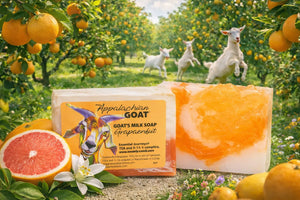 Goat milk soap slice with grapefruit slices and oranges in an orchard.