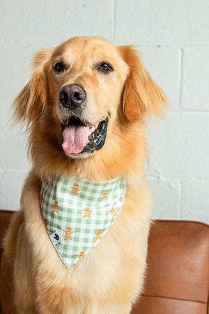 Gingerbread Christmas Reversible Dog Bandana by Dog Bandana Co., product view 3