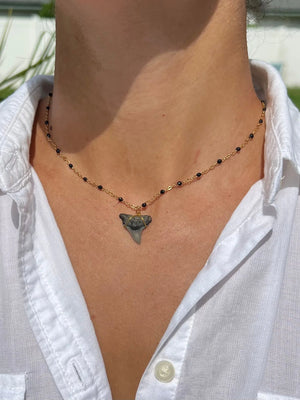 Gold Shark Tooth Necklace - Black HALT