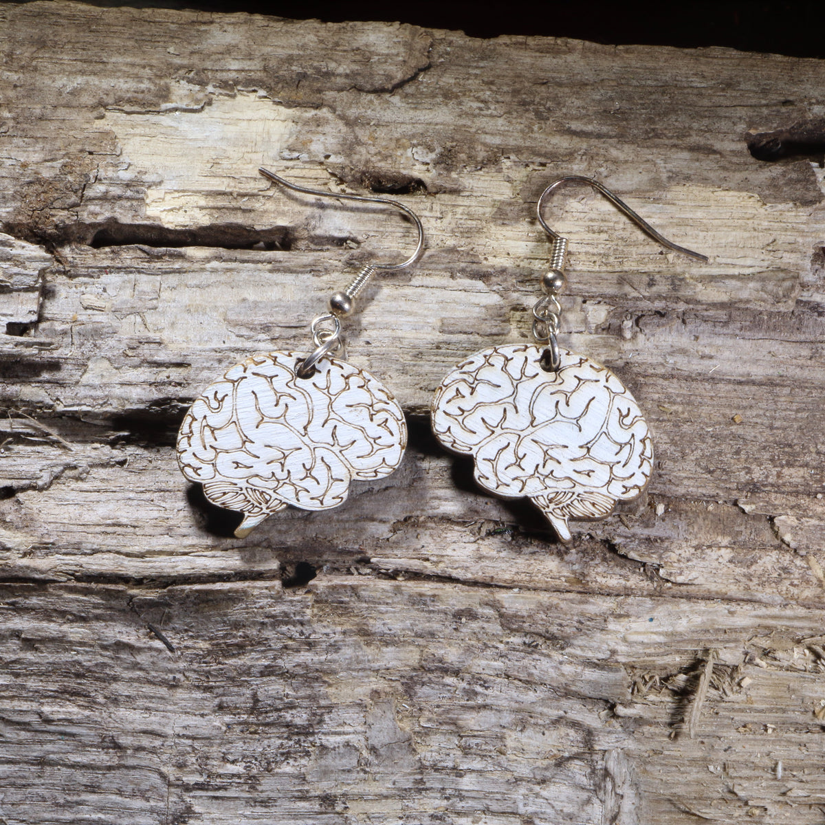 Unique Human Brain Earrings | Quirky Anatomy Jewelry by Cate's Concepts, LLC