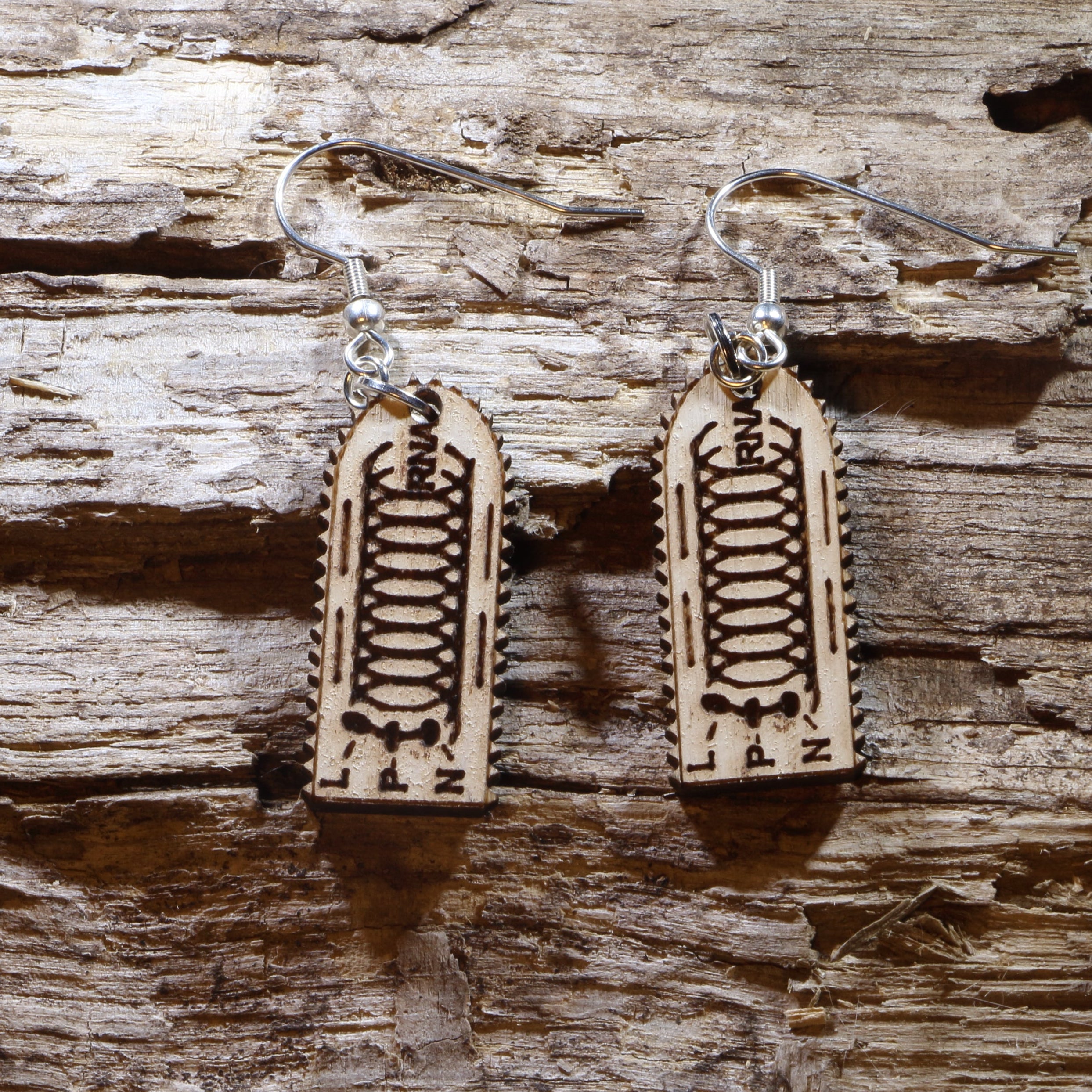 Rabies Virus Wooden Earrings | Science Microbiology Jewelry