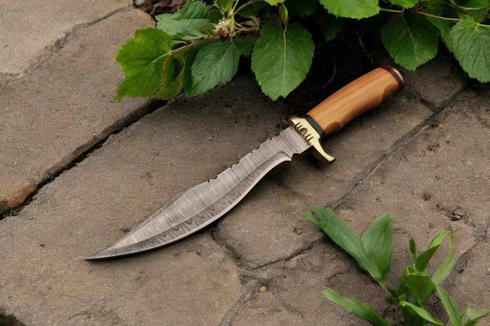 Handmade Damascus Bowie Knife with Olive Wood Handle by Damascus Knife Store, Damascus knife main product photo